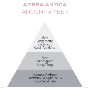 ambra antica