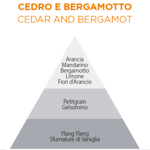 cedro e bergamotto