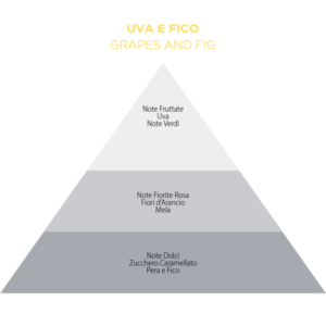 uva e fico