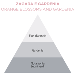 zagara e gardenia