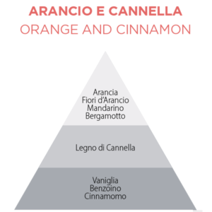 ARANCIA E CANNELLA