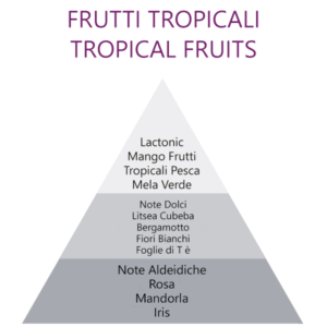 FRUTTI TROPICALI